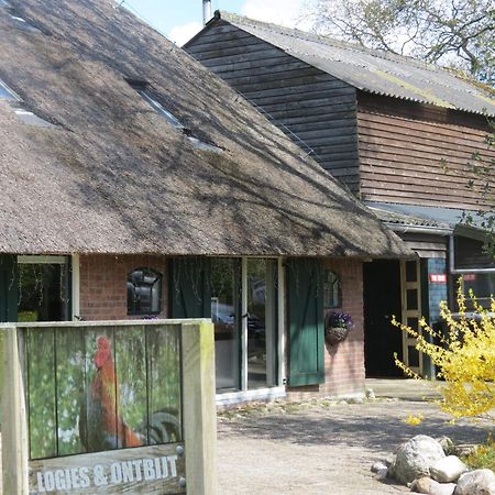 B&B De Berghoeve Ruinen Экстерьер фото